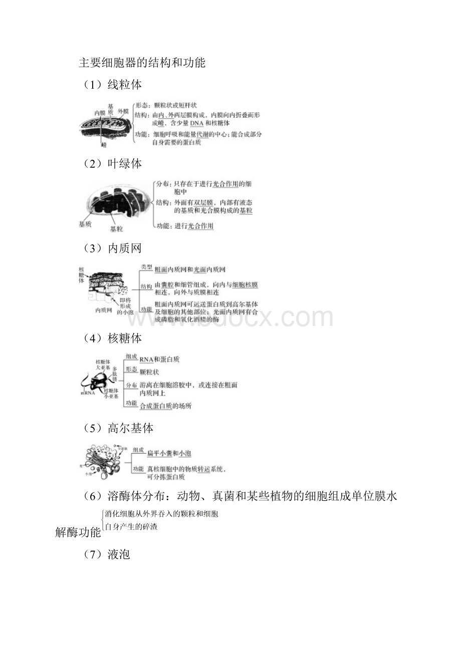 浙江选考版高考生物一轮复习第3讲细胞质细胞核学案.docx_第3页