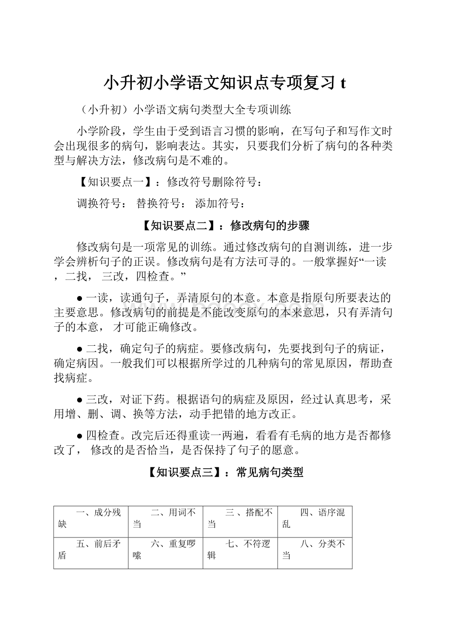 小升初小学语文知识点专项复习t.docx