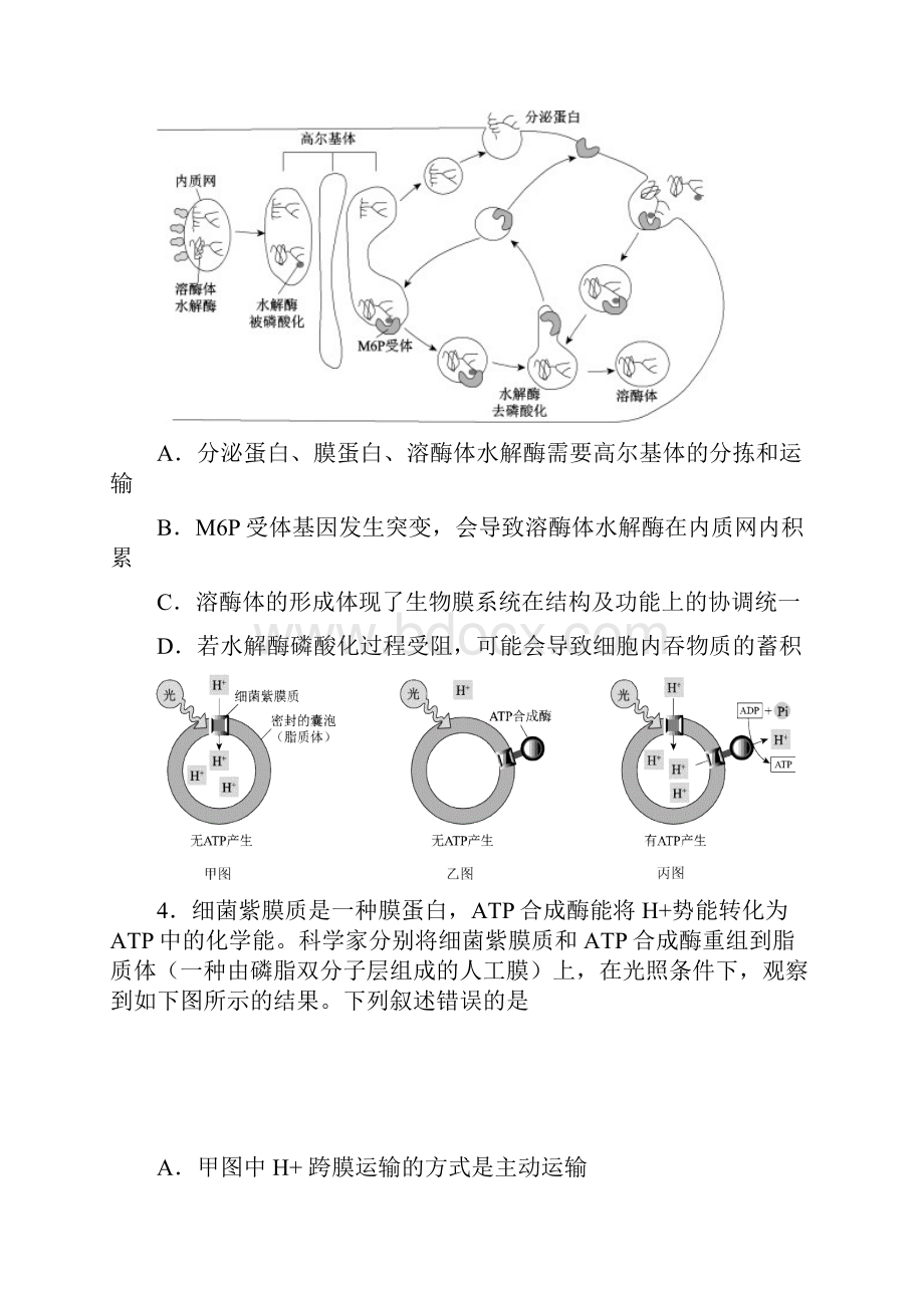 西城区届高三期末生物试题及答案.docx_第2页