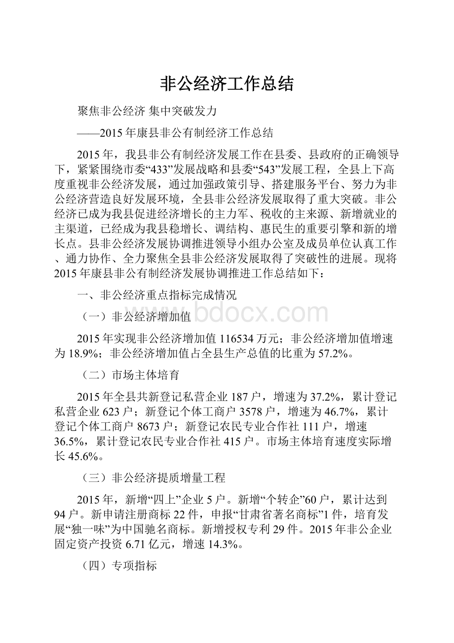 非公经济工作总结.docx