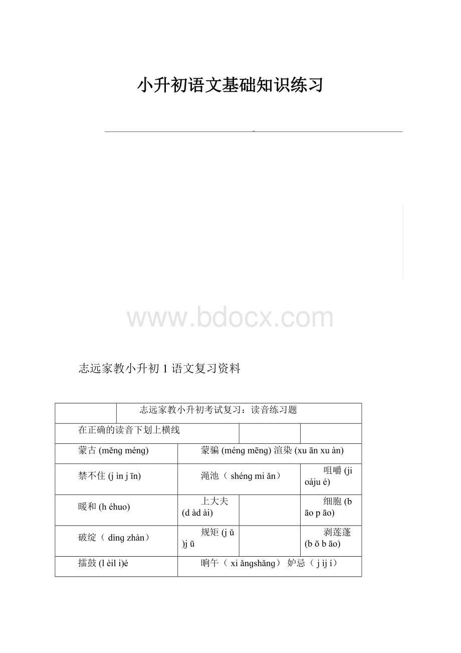 小升初语文基础知识练习.docx