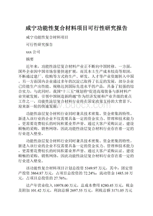 咸宁功能性复合材料项目可行性研究报告.docx