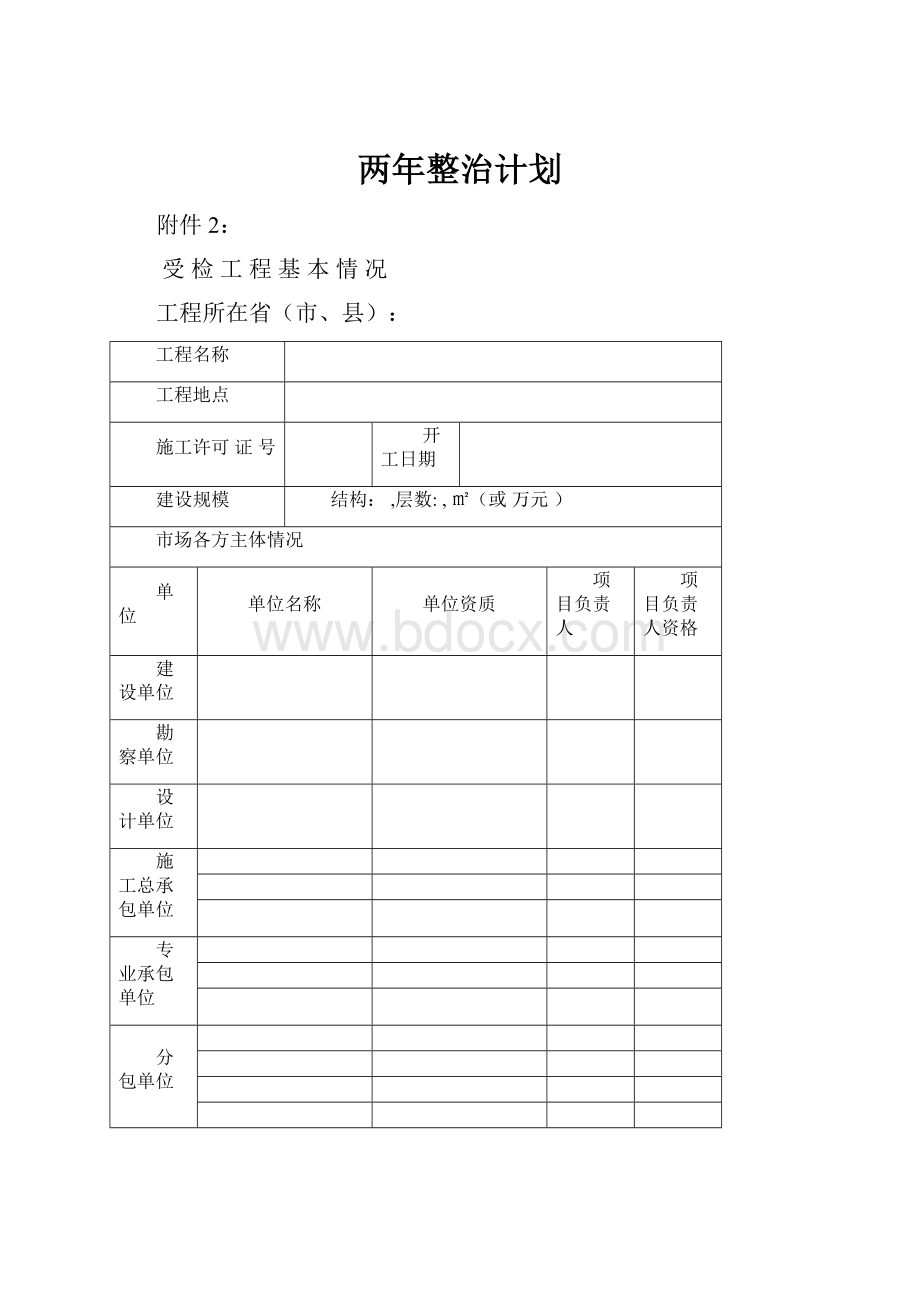 两年整治计划.docx