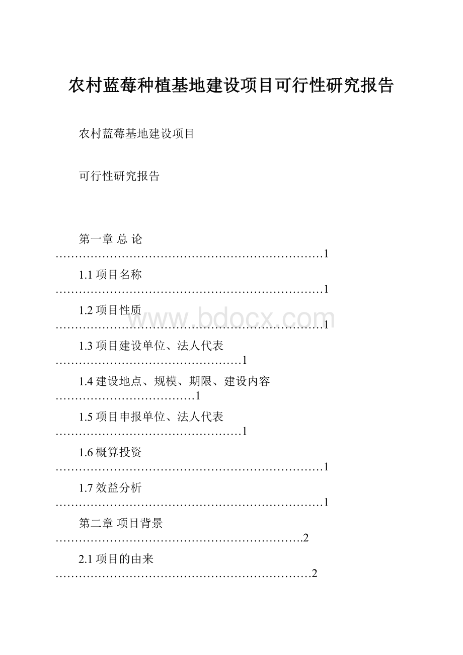 农村蓝莓种植基地建设项目可行性研究报告.docx