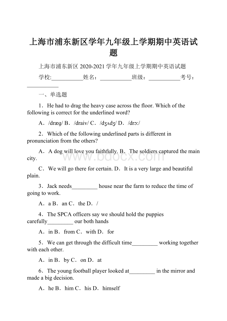 上海市浦东新区学年九年级上学期期中英语试题.docx