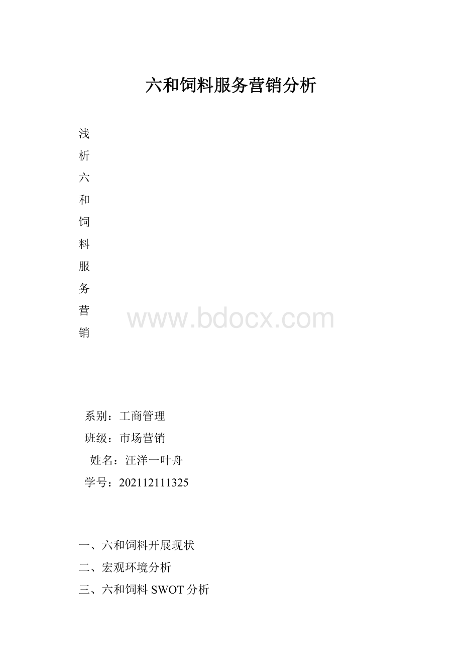 六和饲料服务营销分析.docx