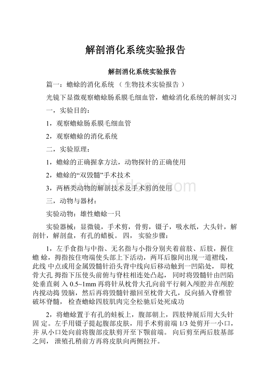 解剖消化系统实验报告.docx_第1页