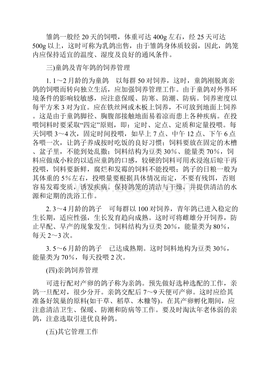 鸽子全套养殖技术解决方案doc.docx_第2页