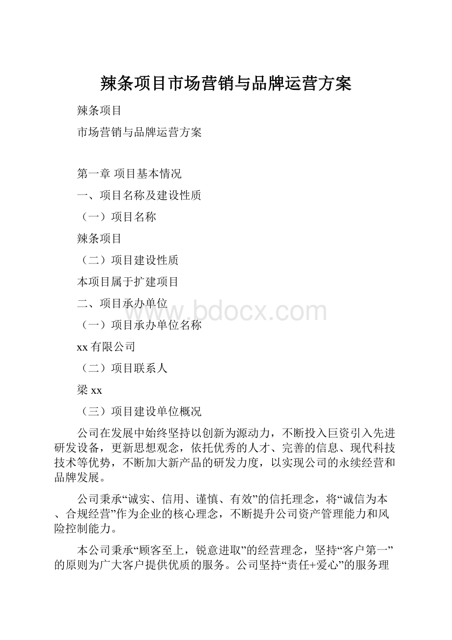 辣条项目市场营销与品牌运营方案.docx