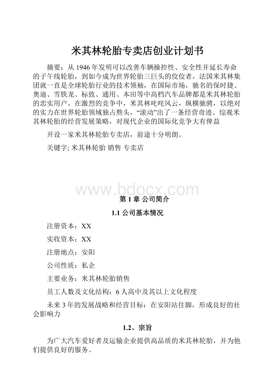 米其林轮胎专卖店创业计划书.docx