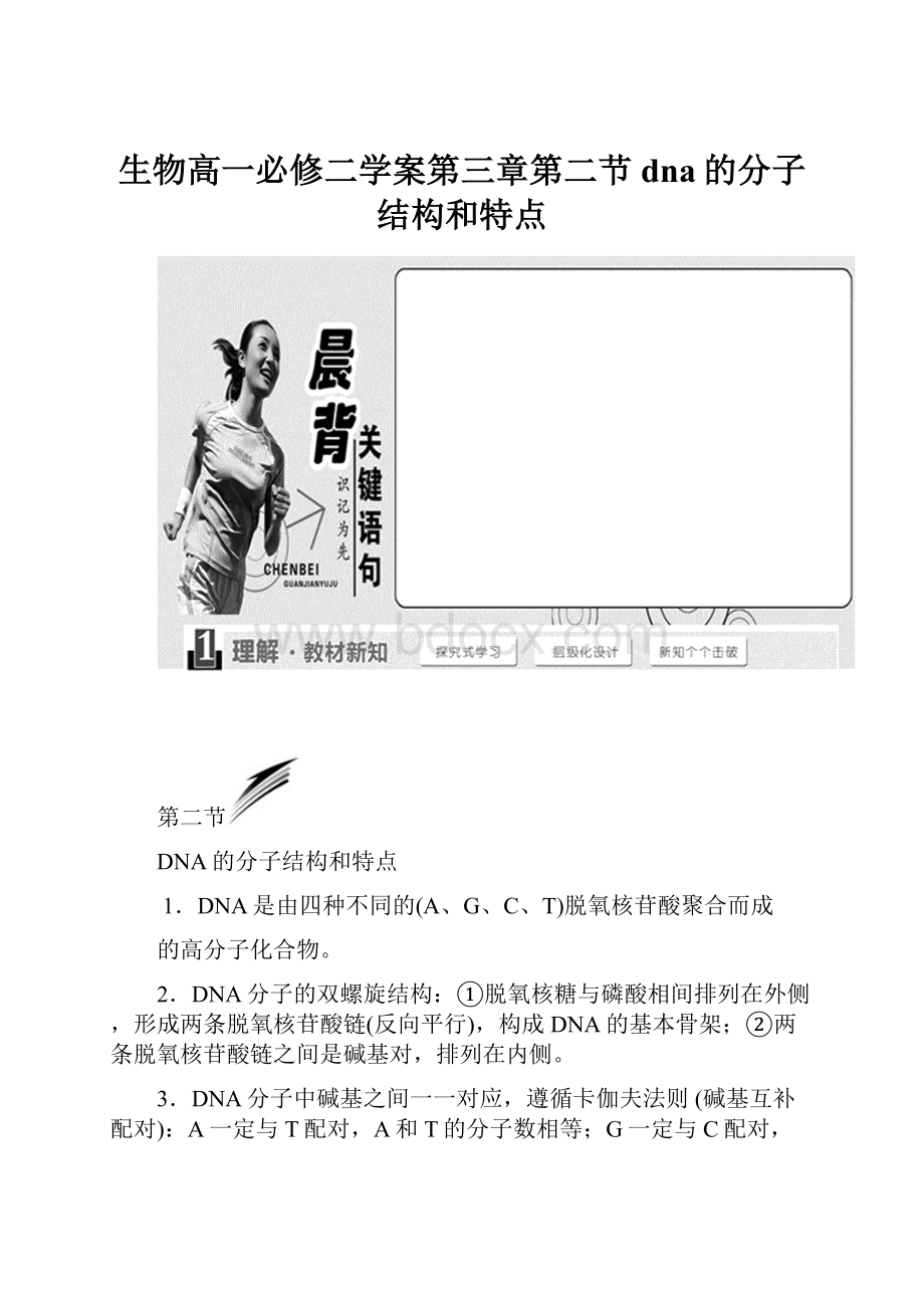 生物高一必修二学案第三章第二节dna的分子结构和特点.docx