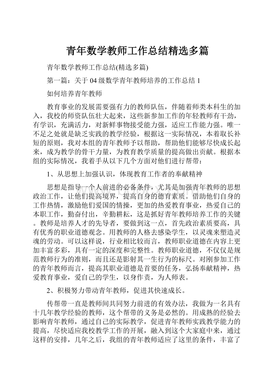 青年数学教师工作总结精选多篇.docx