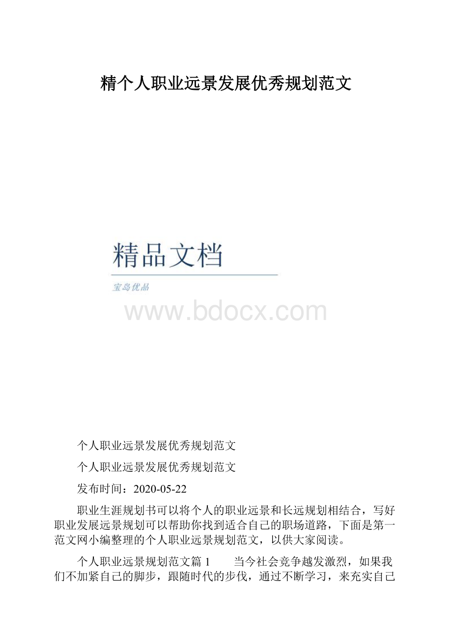 精个人职业远景发展优秀规划范文.docx