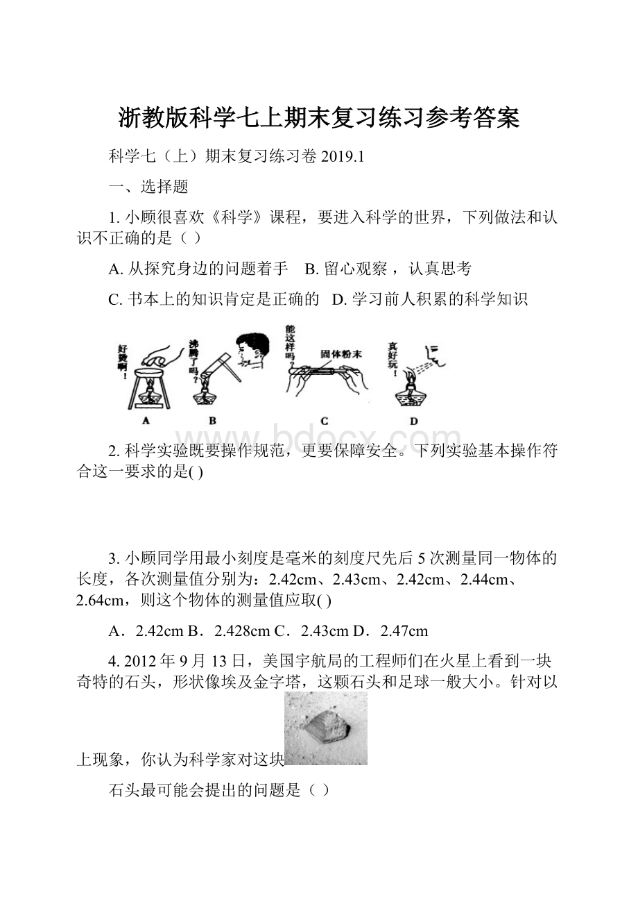 浙教版科学七上期末复习练习参考答案.docx