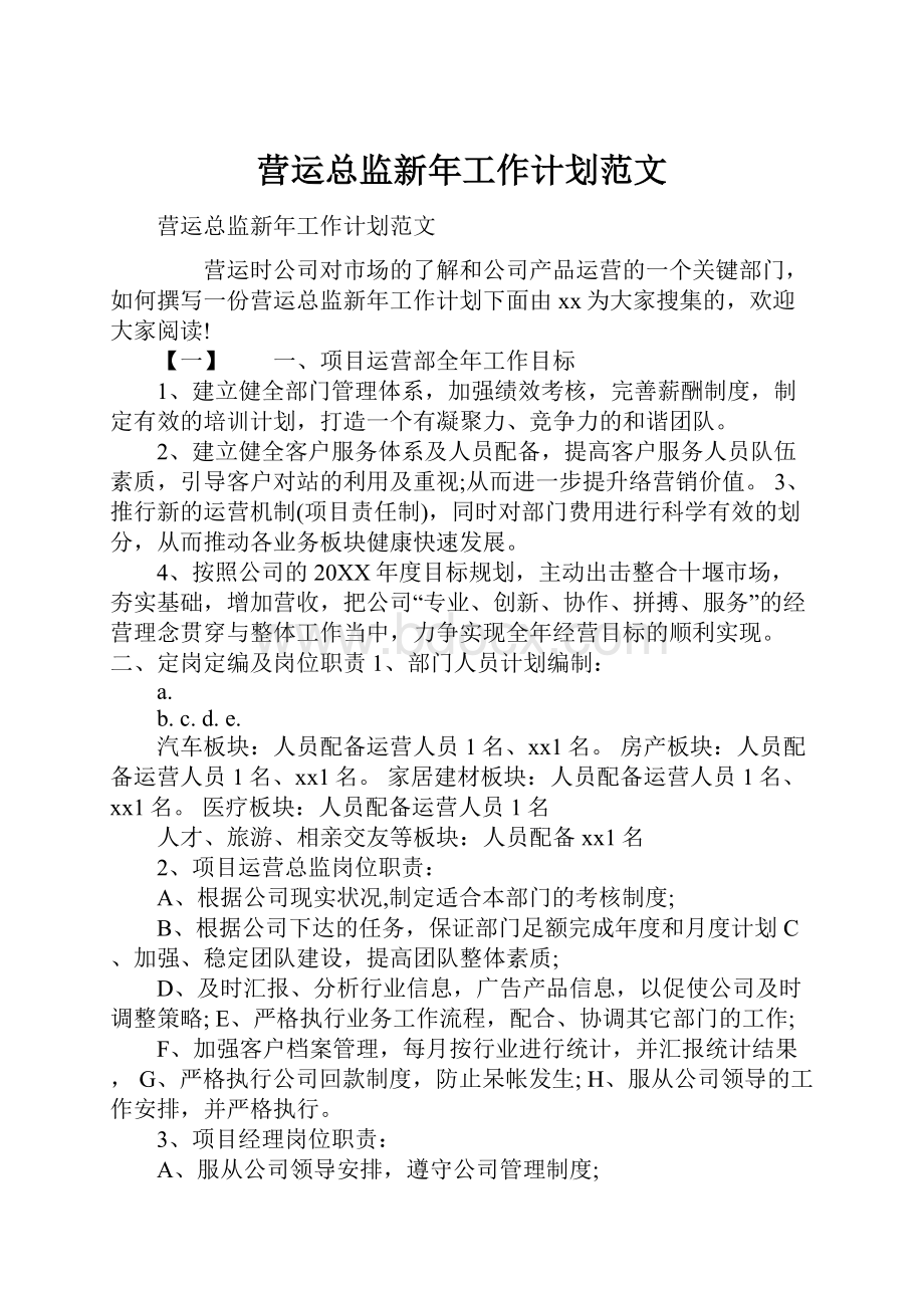 营运总监新年工作计划范文.docx