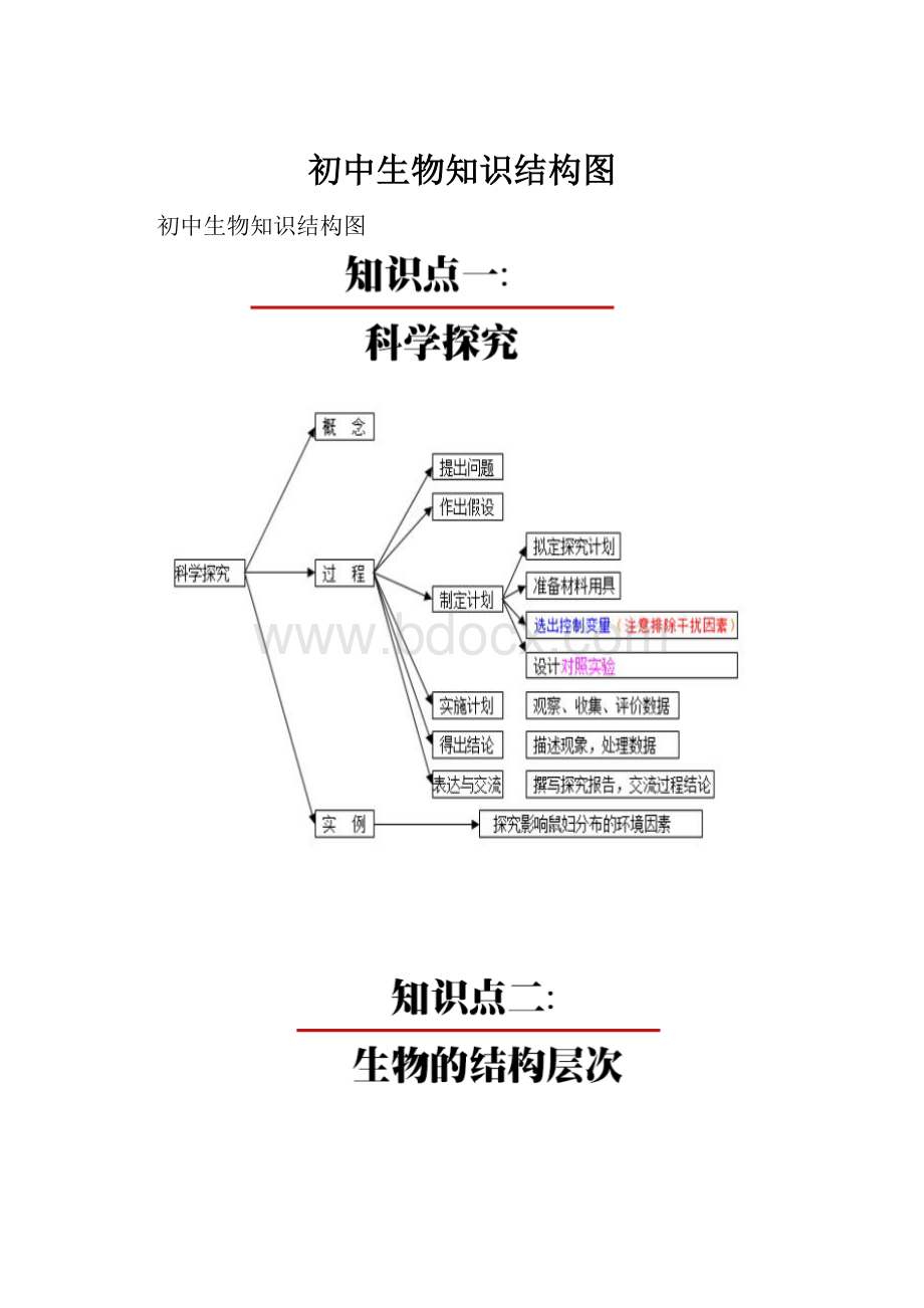 初中生物知识结构图.docx