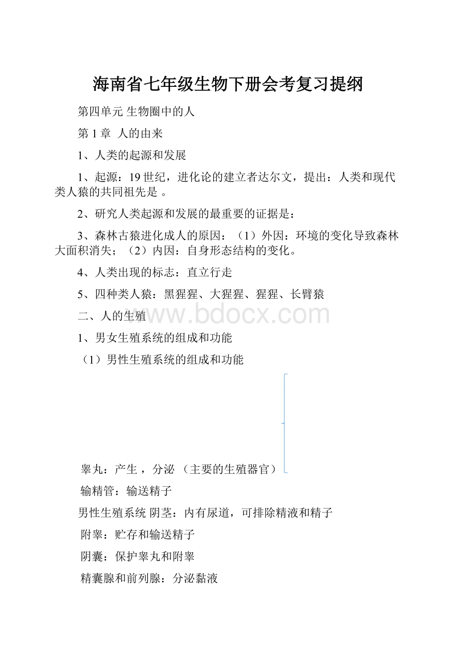 海南省七年级生物下册会考复习提纲.docx_第1页