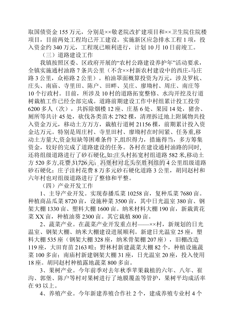 XX年镇政府年工作总结及工作计划.docx_第2页