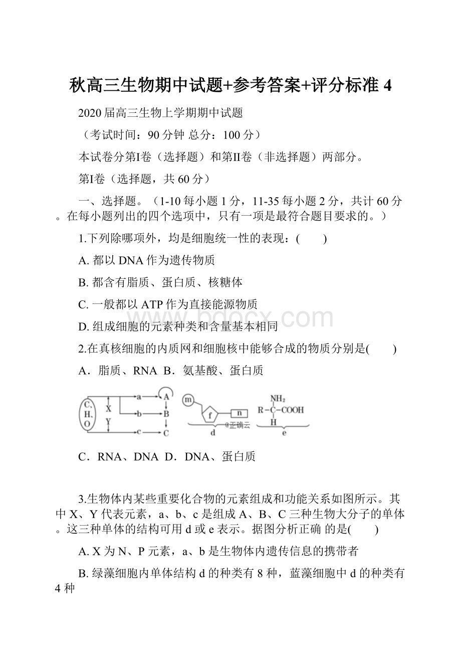 秋高三生物期中试题+参考答案+评分标准 4.docx