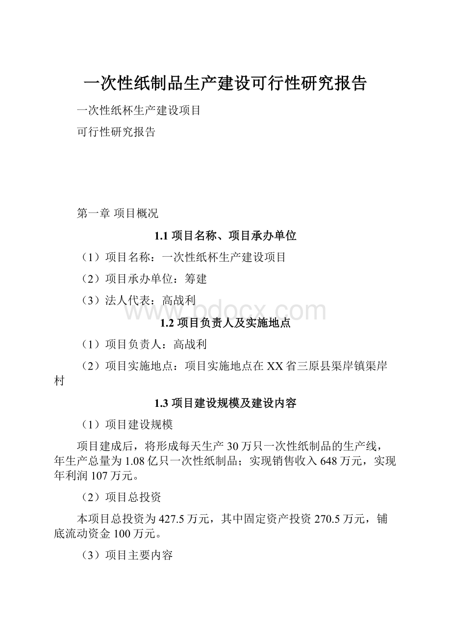 一次性纸制品生产建设可行性研究报告.docx