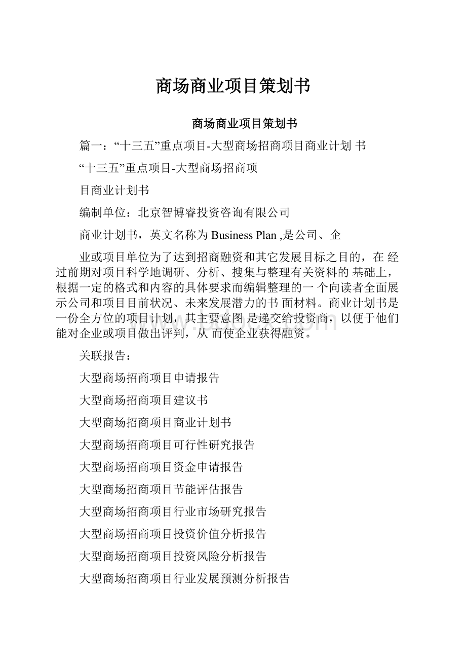 商场商业项目策划书.docx