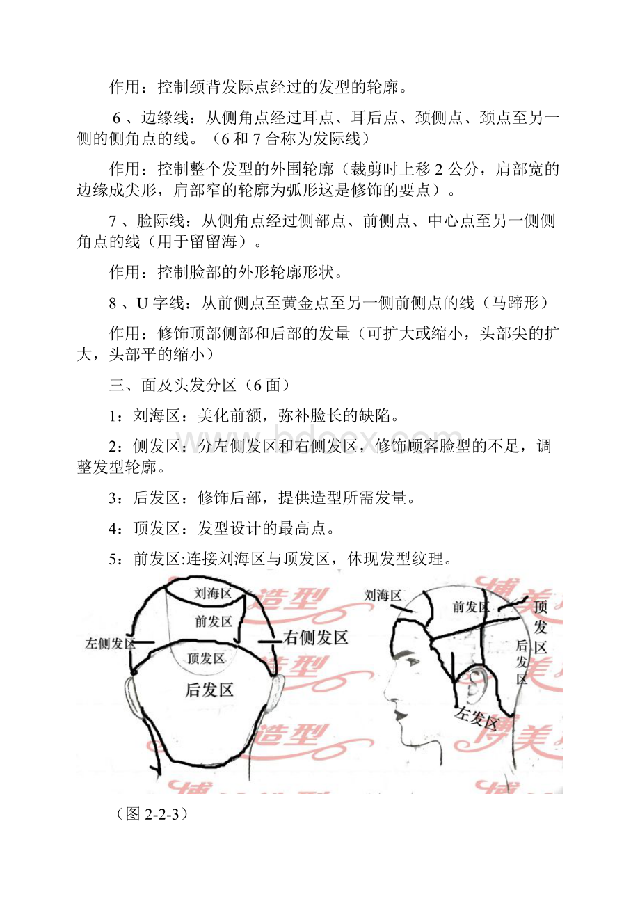 整理美容美发基础知识毛发生理学.docx_第3页