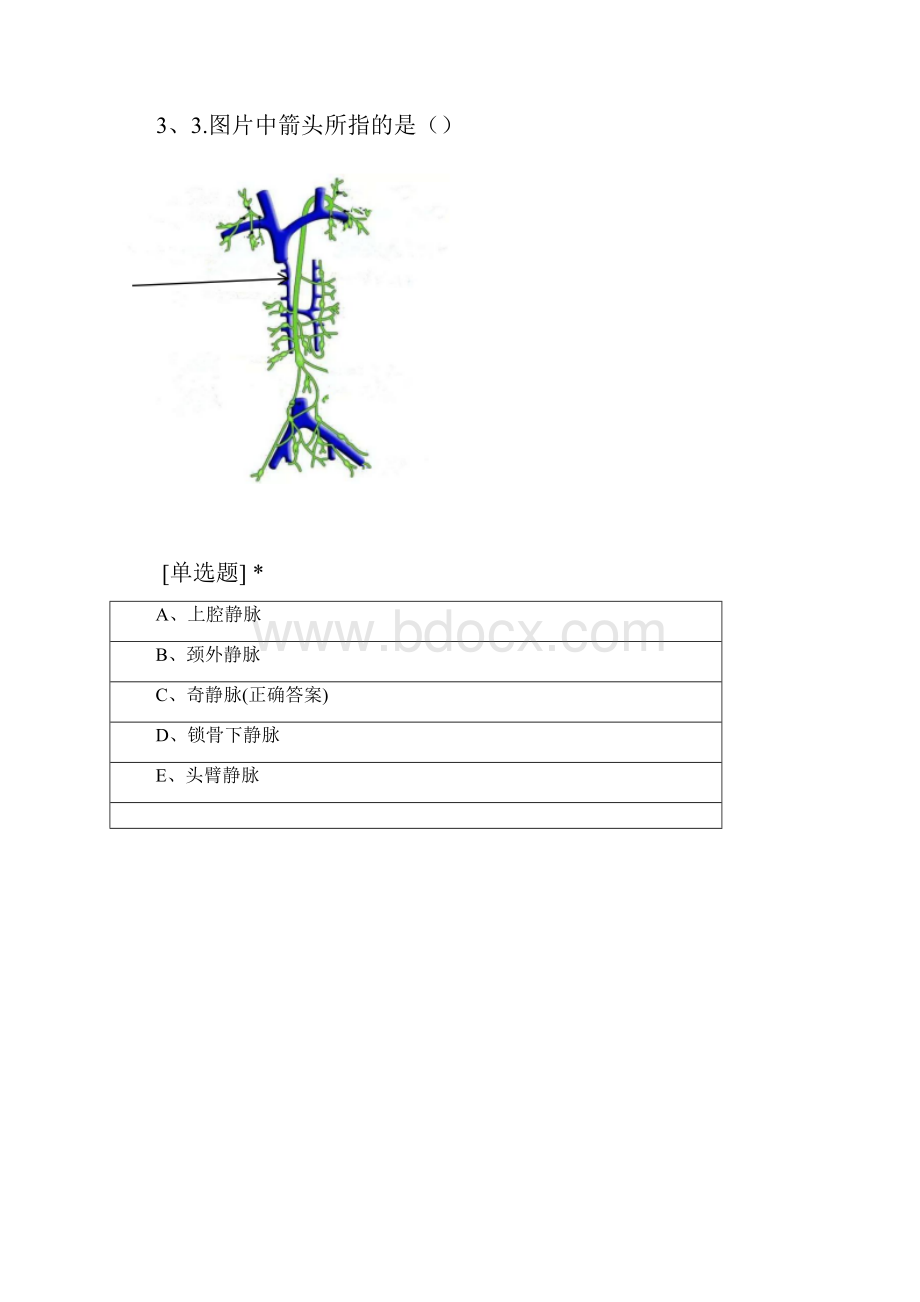 解剖随堂测试图动静脉.docx_第3页