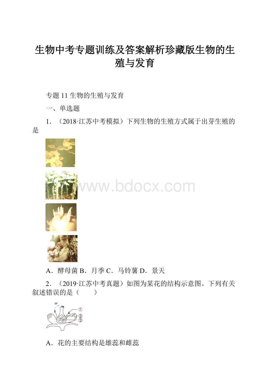 生物中考专题训练及答案解析珍藏版生物的生殖与发育.docx