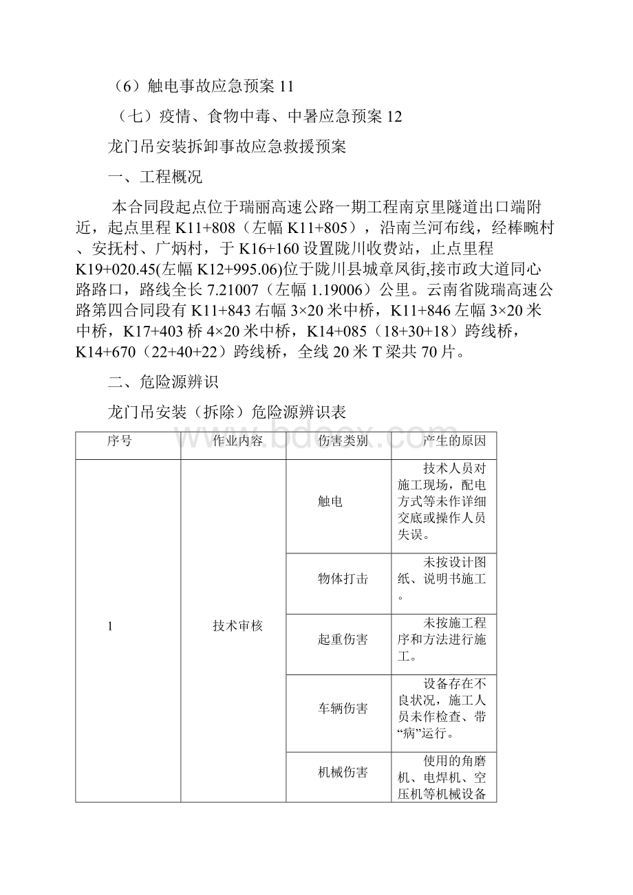 龙门吊安装拆卸事故应急救援预案.docx_第2页