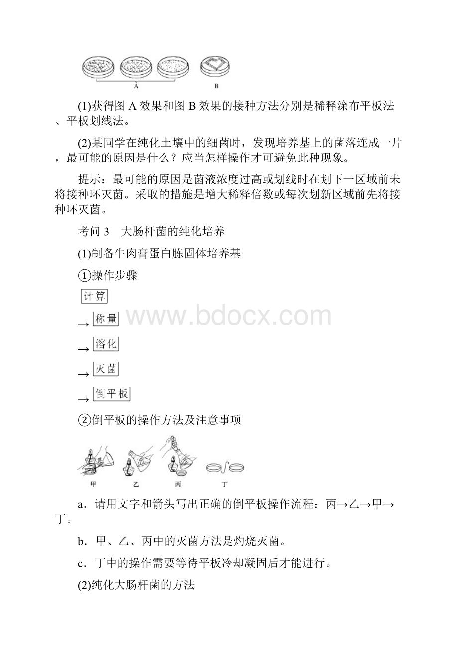 届 一轮复习人教版微生物的培养和利用 学案.docx_第2页