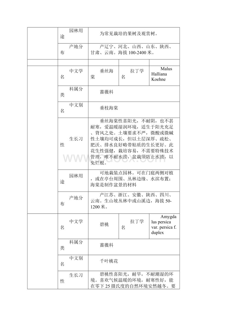 四川地区常用园林苗木花乔.docx_第3页