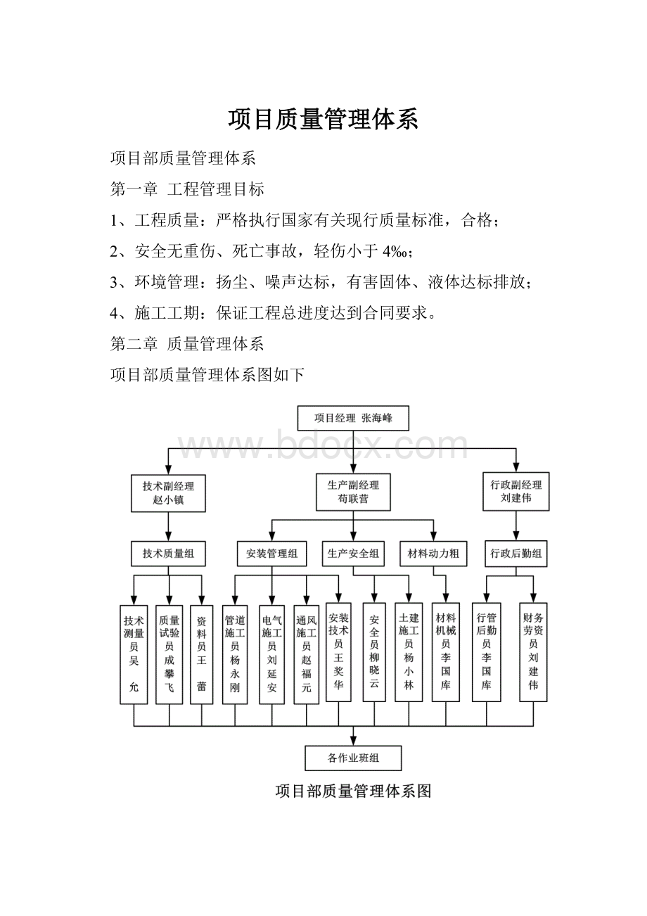 项目质量管理体系.docx