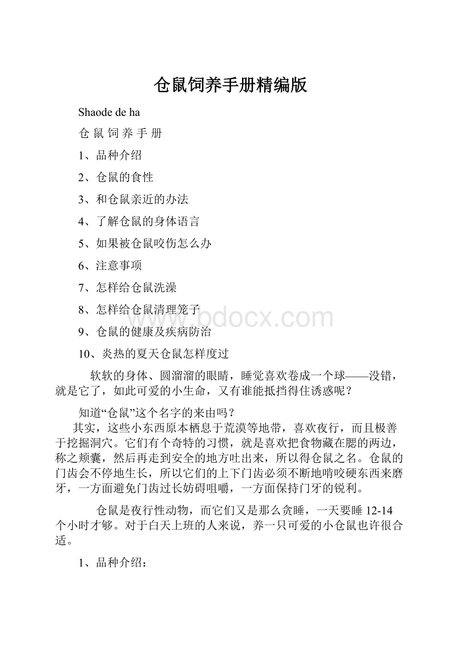 仓鼠饲养手册精编版.docx