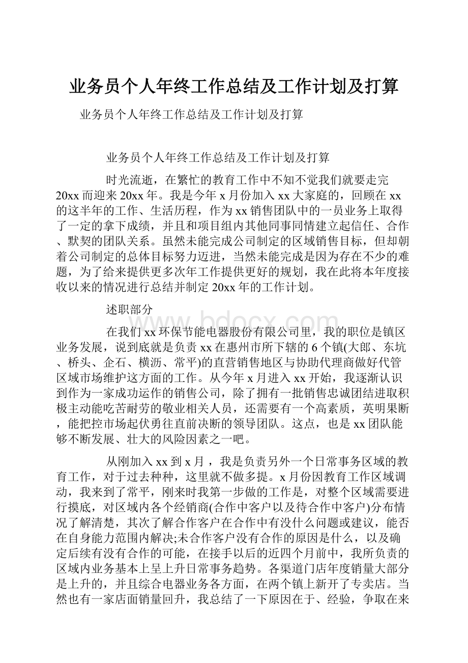 业务员个人年终工作总结及工作计划及打算.docx