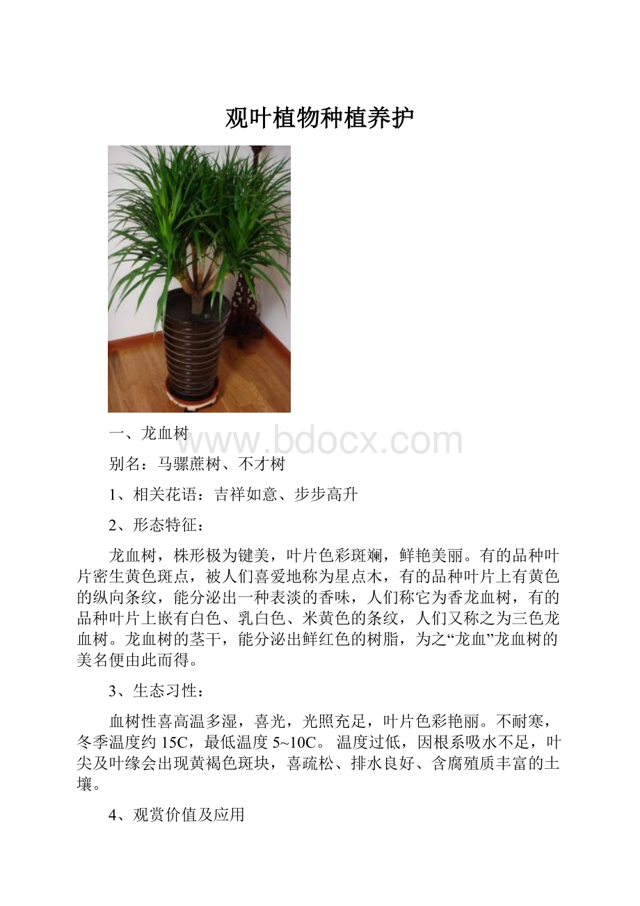 观叶植物种植养护.docx