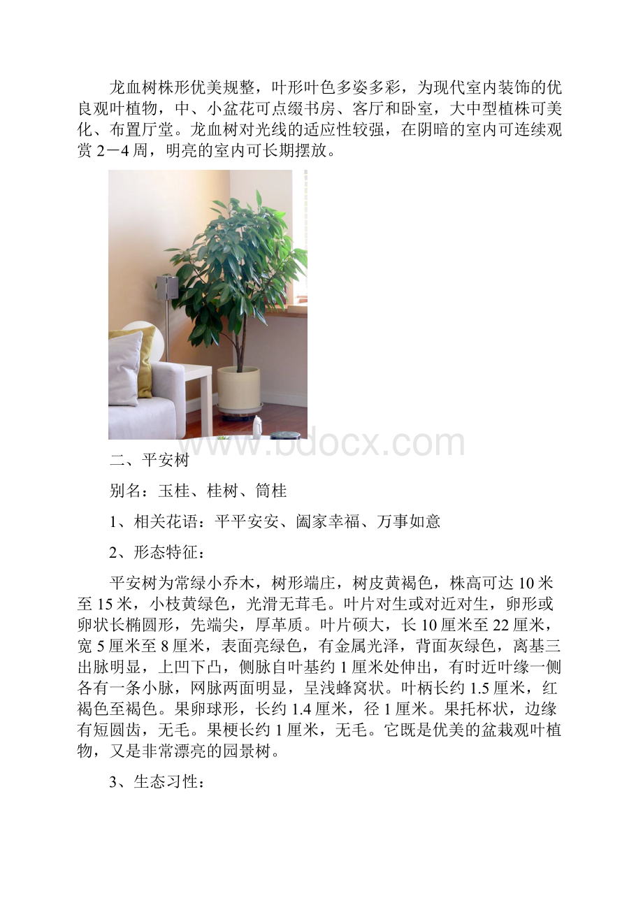 观叶植物种植养护.docx_第2页