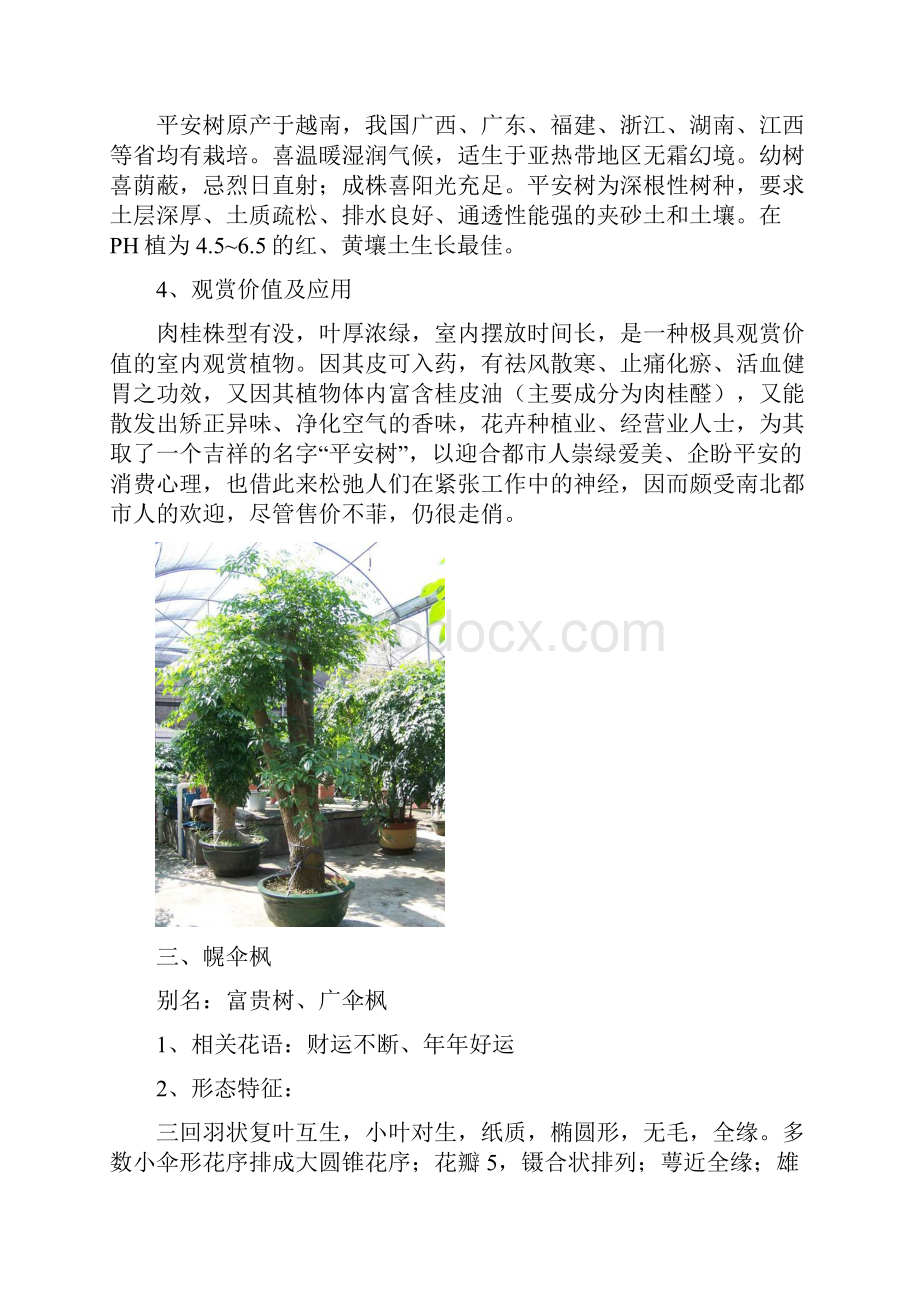 观叶植物种植养护.docx_第3页