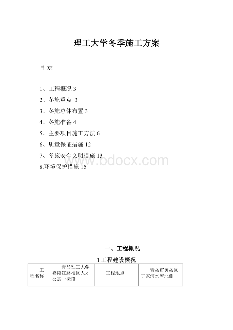 理工大学冬季施工方案.docx_第1页