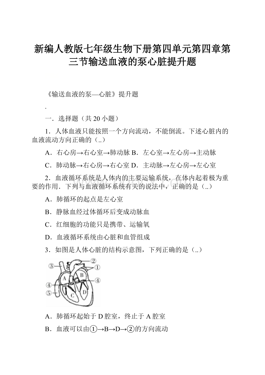 新编人教版七年级生物下册第四单元第四章第三节输送血液的泵心脏提升题.docx