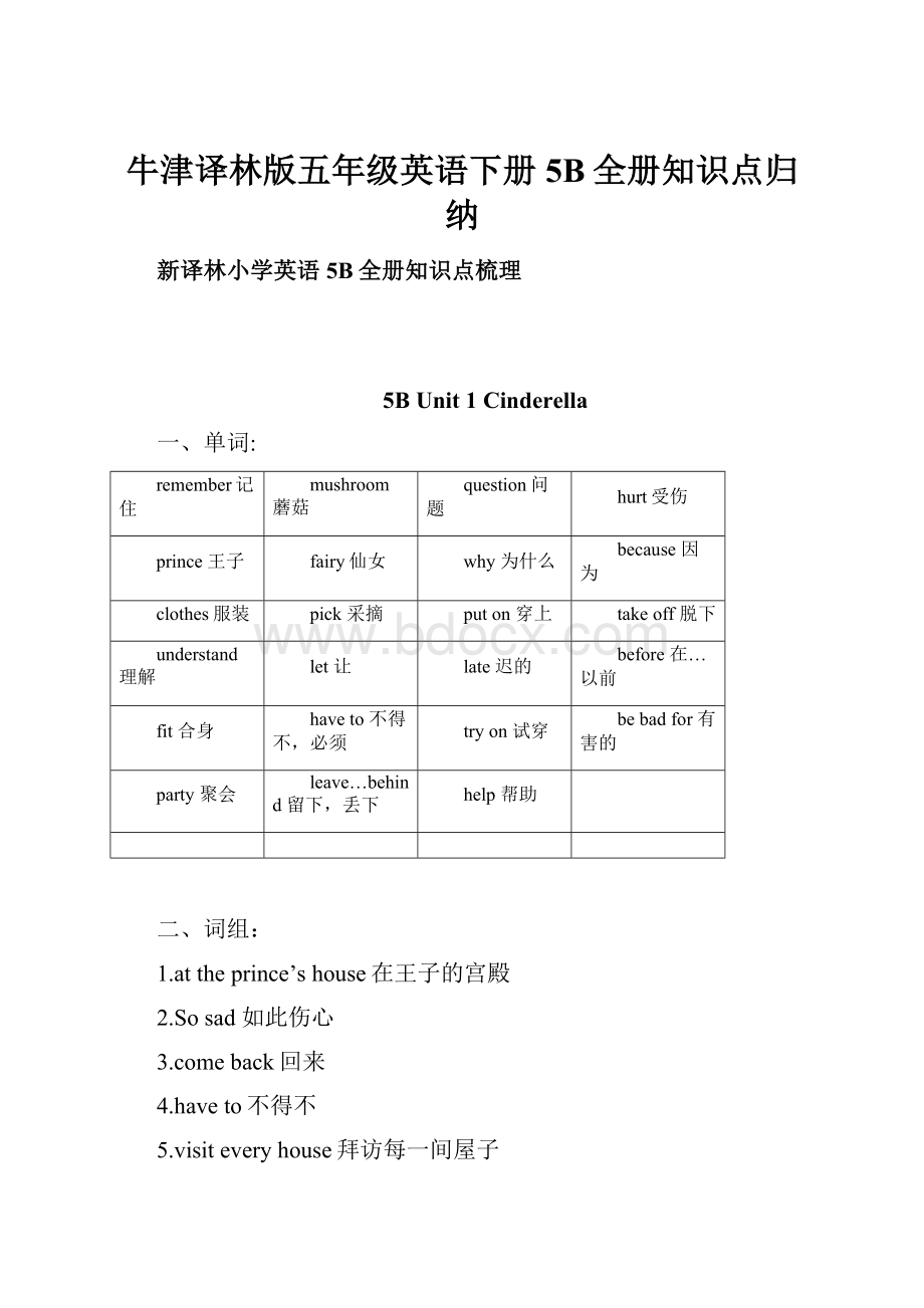 牛津译林版五年级英语下册5B全册知识点归纳.docx