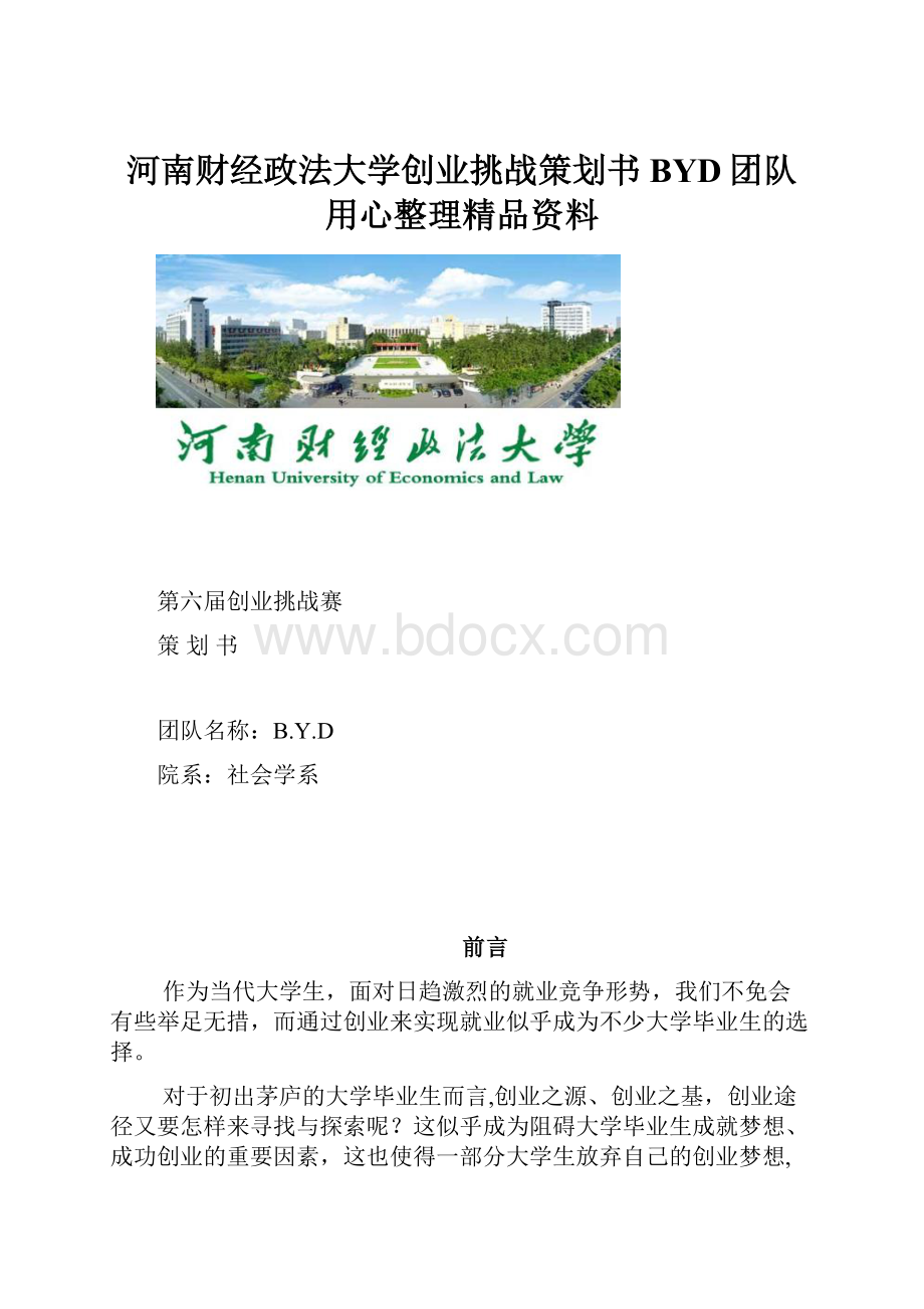 河南财经政法大学创业挑战策划书BYD团队用心整理精品资料.docx