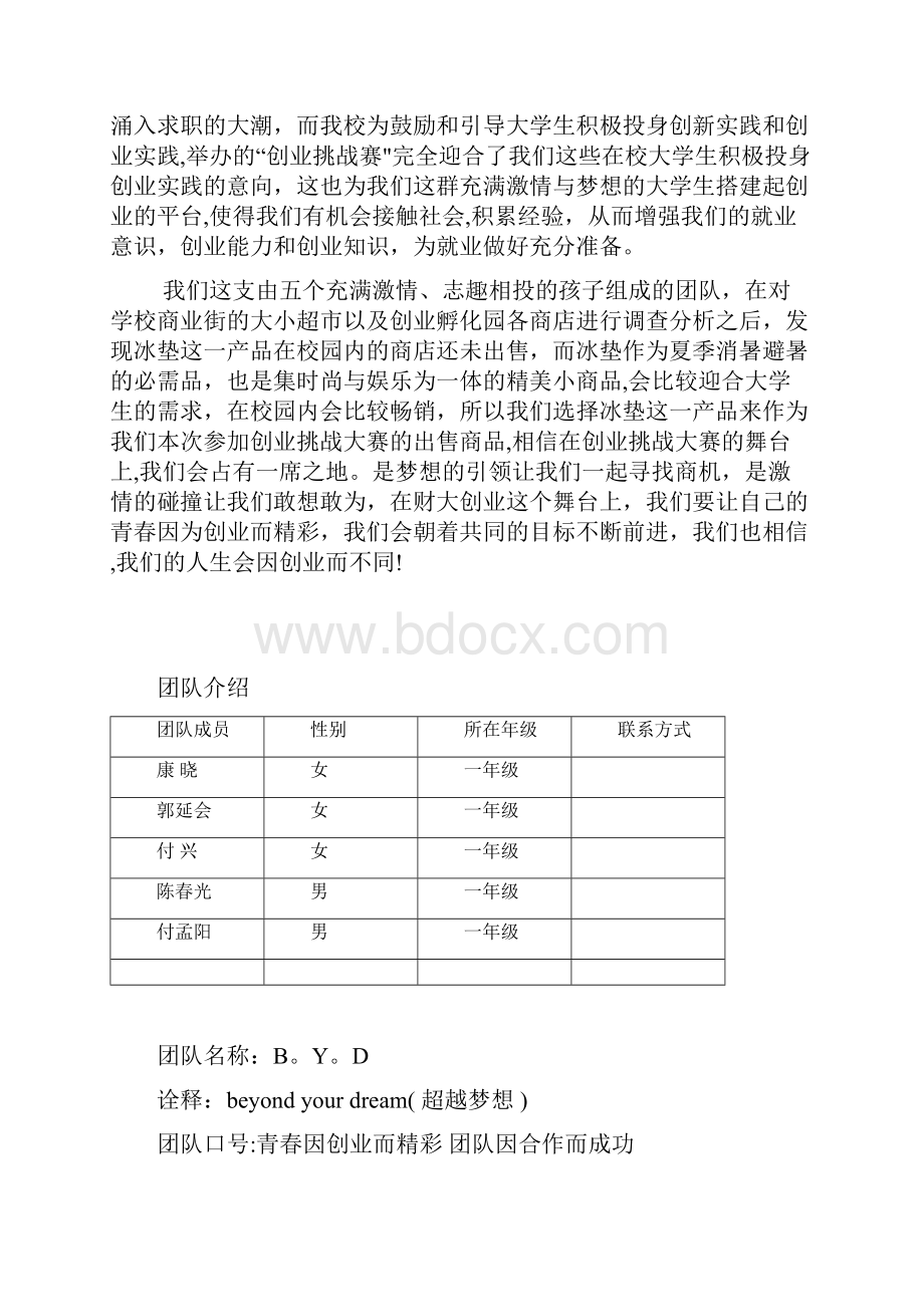 河南财经政法大学创业挑战策划书BYD团队用心整理精品资料.docx_第2页