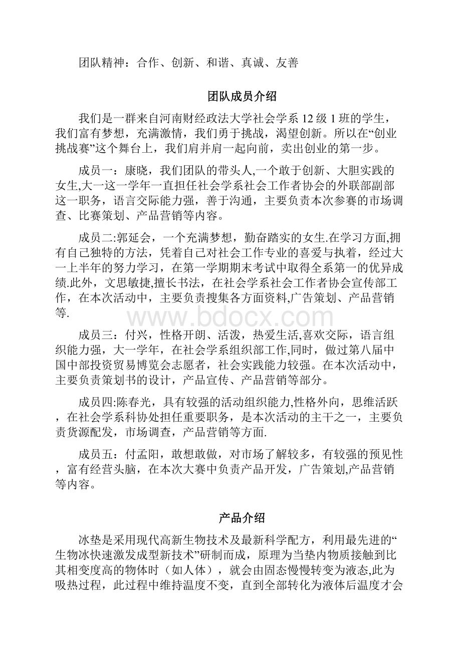 河南财经政法大学创业挑战策划书BYD团队用心整理精品资料.docx_第3页