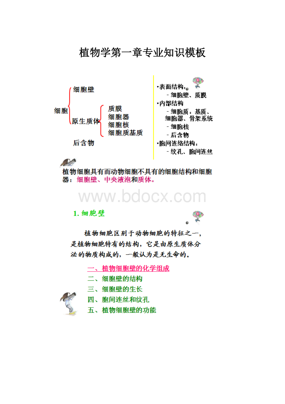 植物学第一章专业知识模板.docx