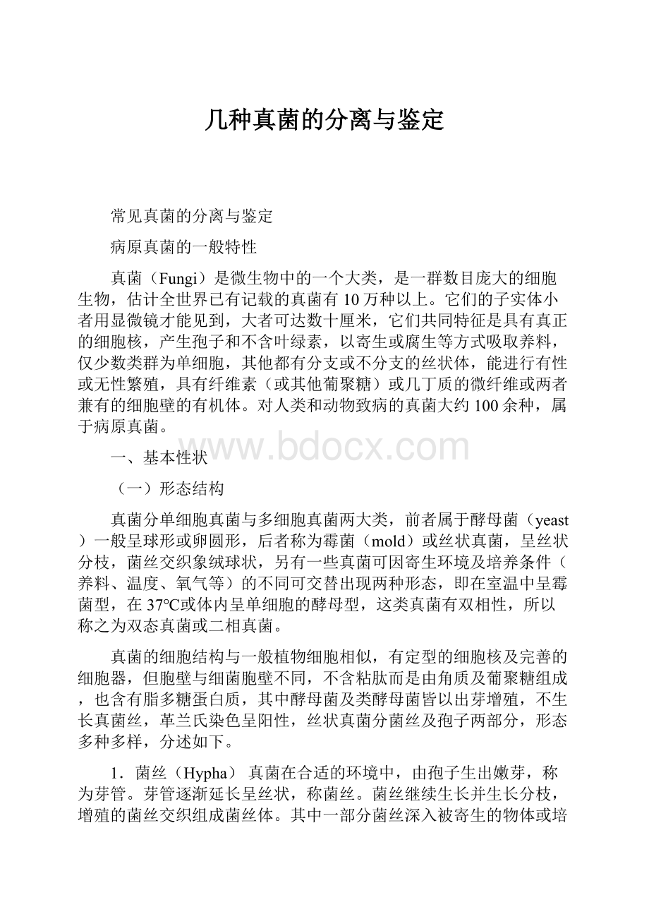 几种真菌的分离与鉴定.docx