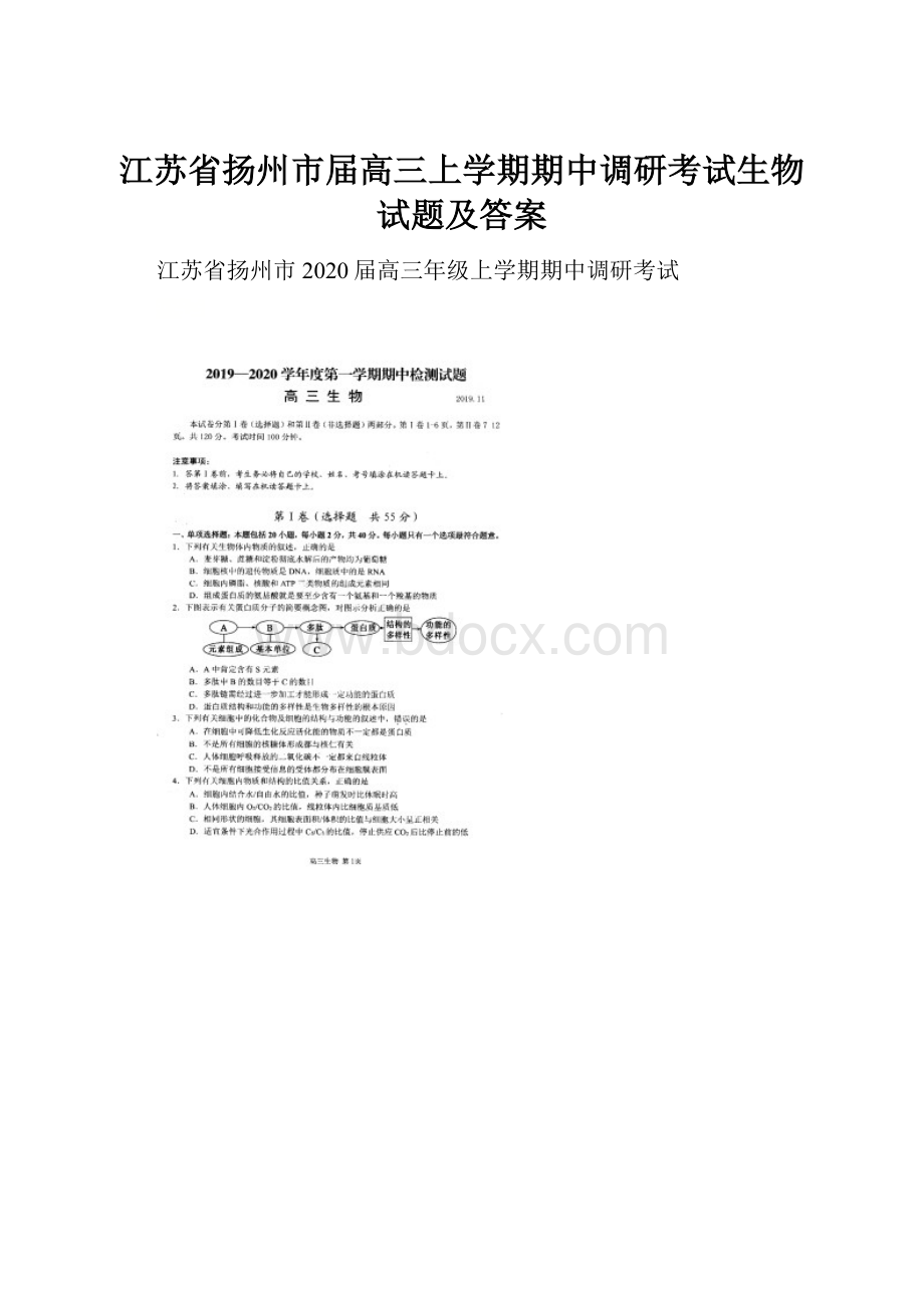 江苏省扬州市届高三上学期期中调研考试生物试题及答案.docx_第1页