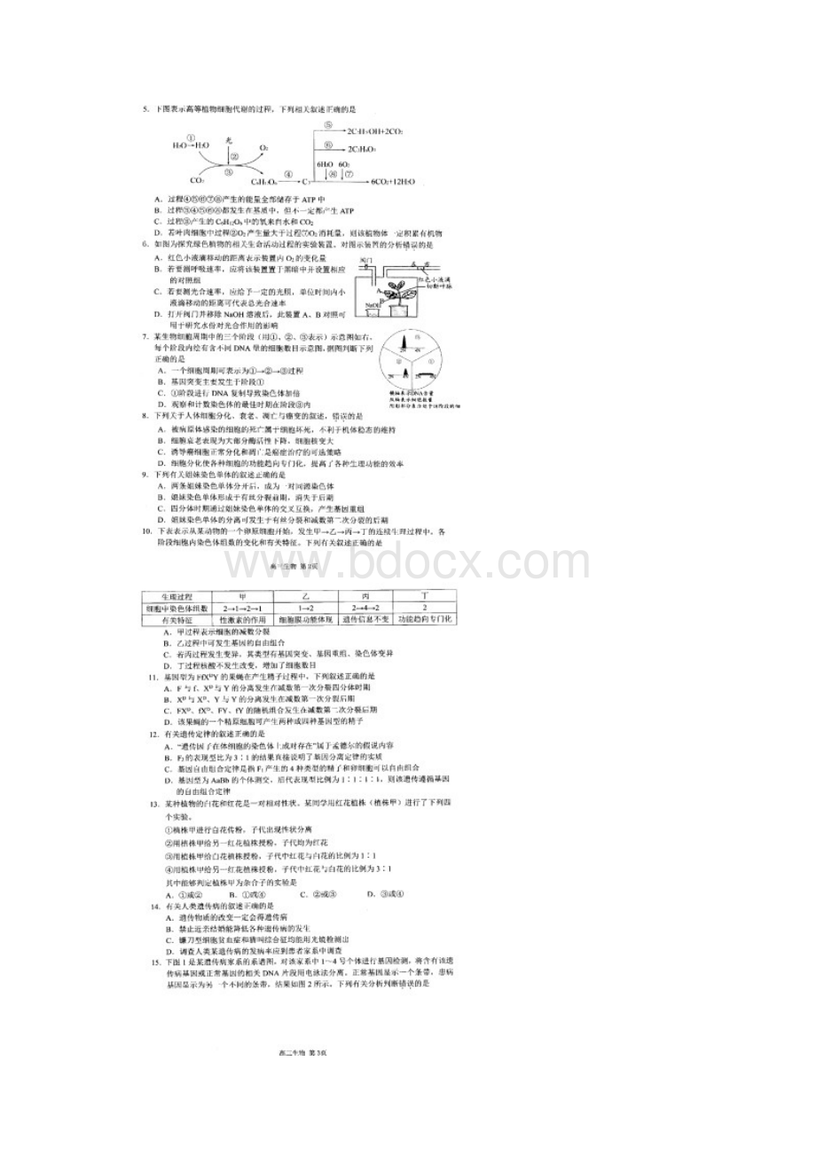 江苏省扬州市届高三上学期期中调研考试生物试题及答案.docx_第2页