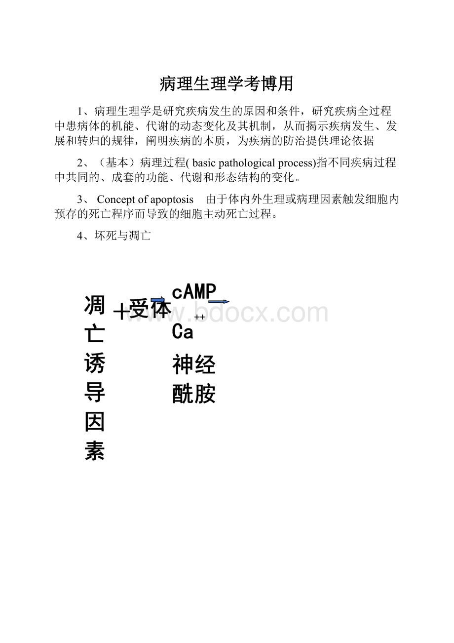 病理生理学考博用.docx