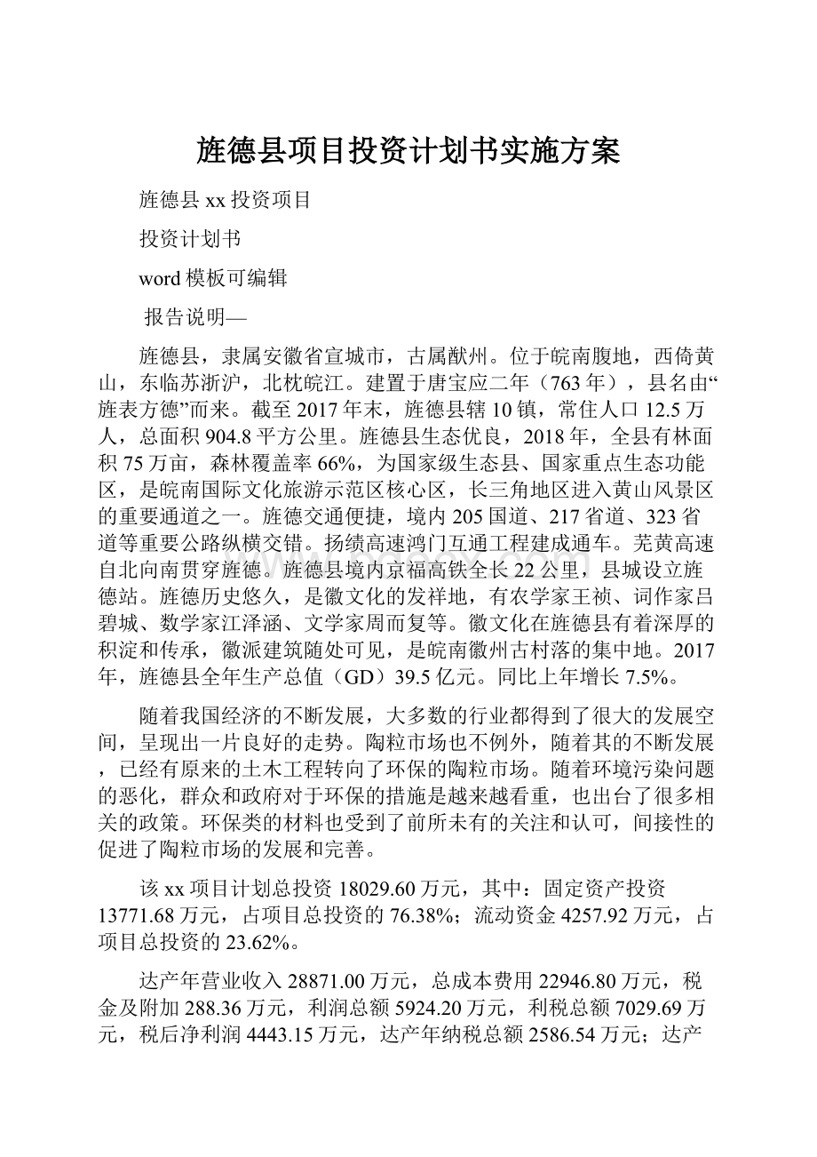 旌德县项目投资计划书实施方案.docx