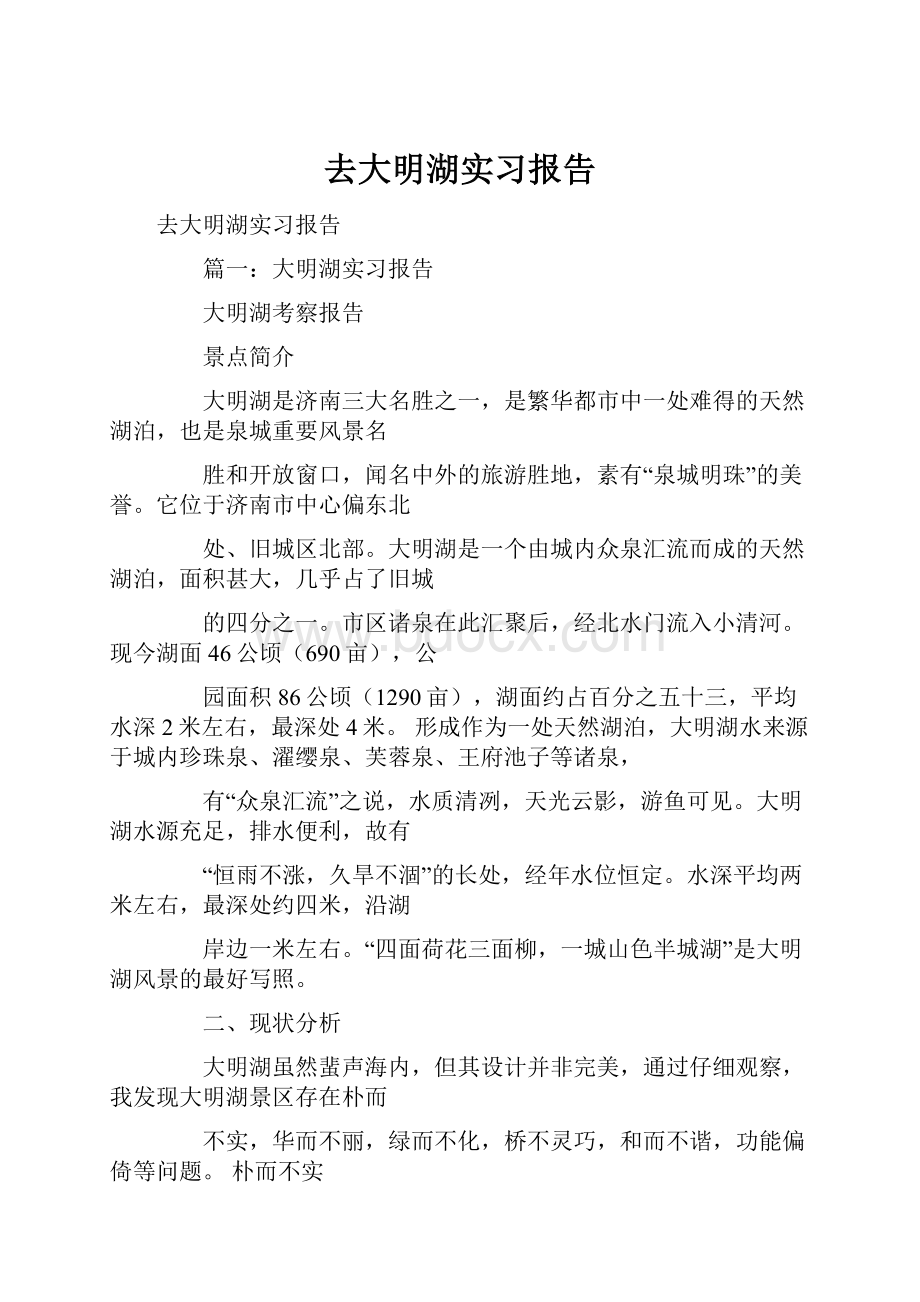 去大明湖实习报告.docx